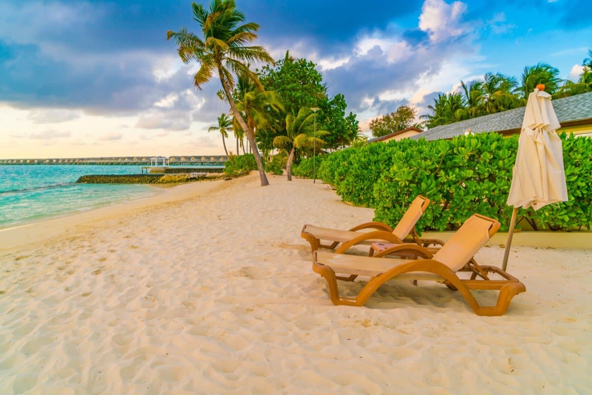 Tropical Beach Paradise